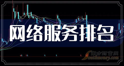 2023年第三季度網(wǎng)絡(luò)服務(wù)概念股毛利潤前十排名解析