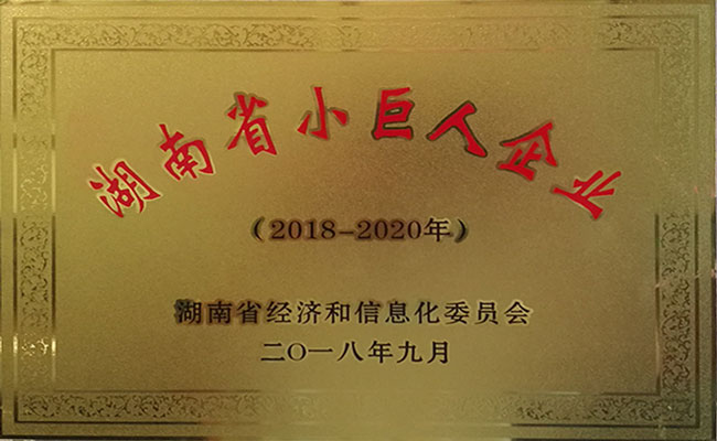 湖南省小巨人企業